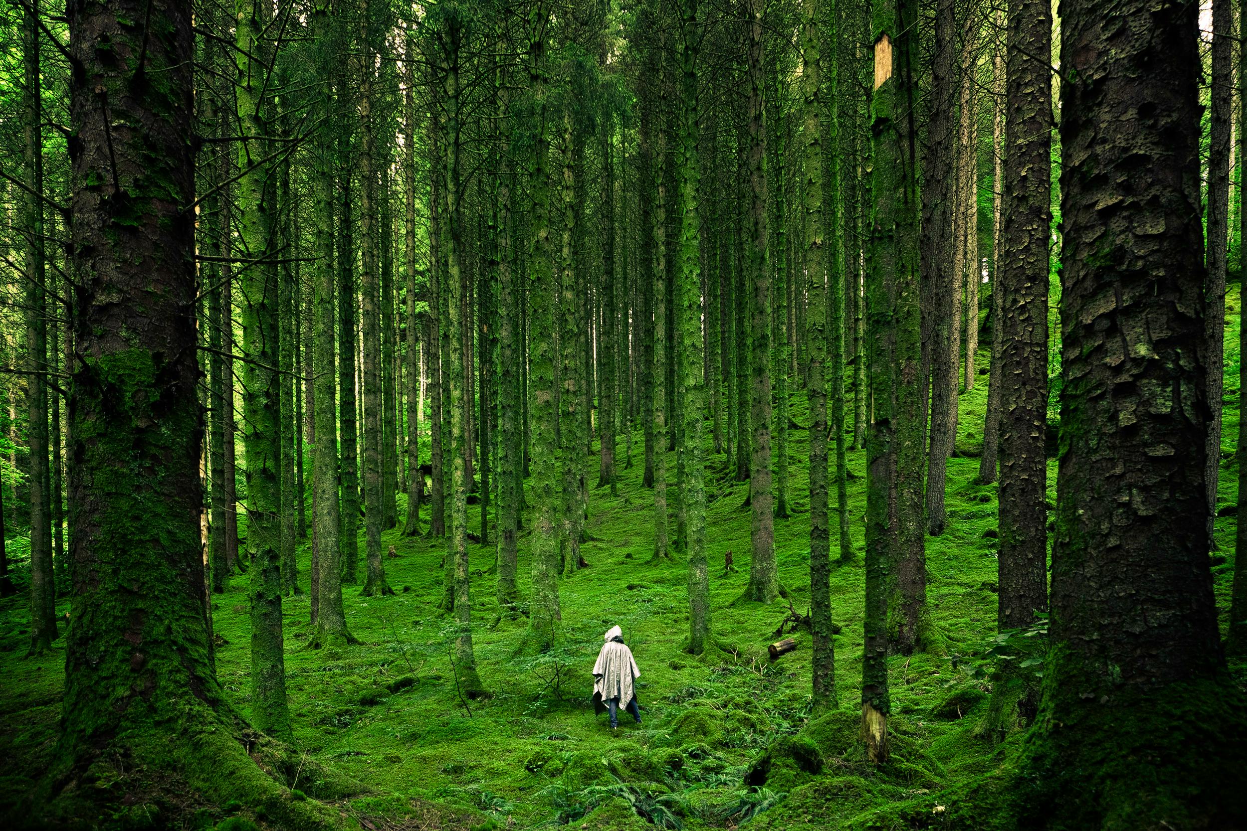 Nature activities